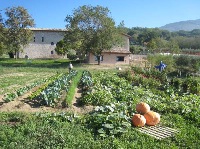 Leggi tutto: Il lavoro della comunità a san Masseo